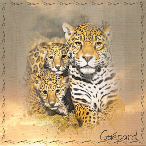 défi bouvier maman et son petit