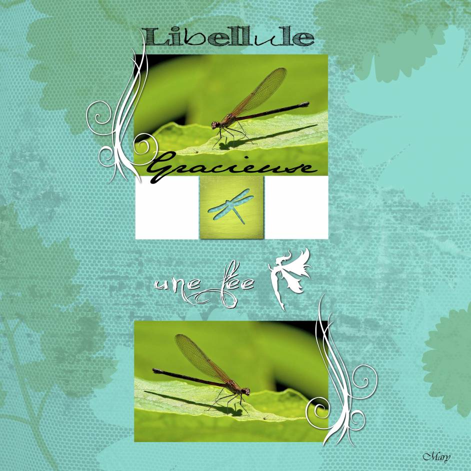 défi bouvier papillon46