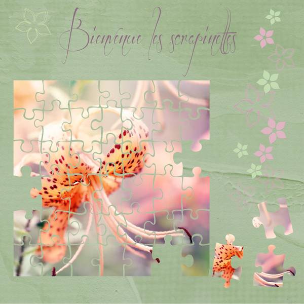 défi bouvier puzzle