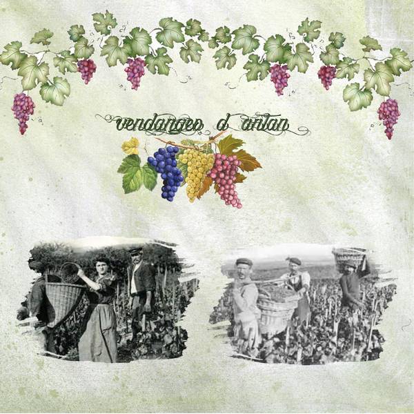 défi bouvier raisin