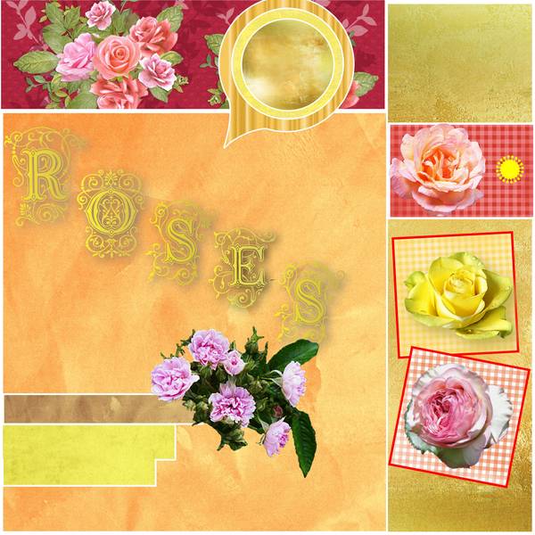 defi bouvier semaine 19 template