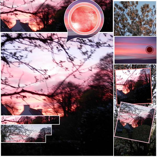 defi bouvier semaine 19 template