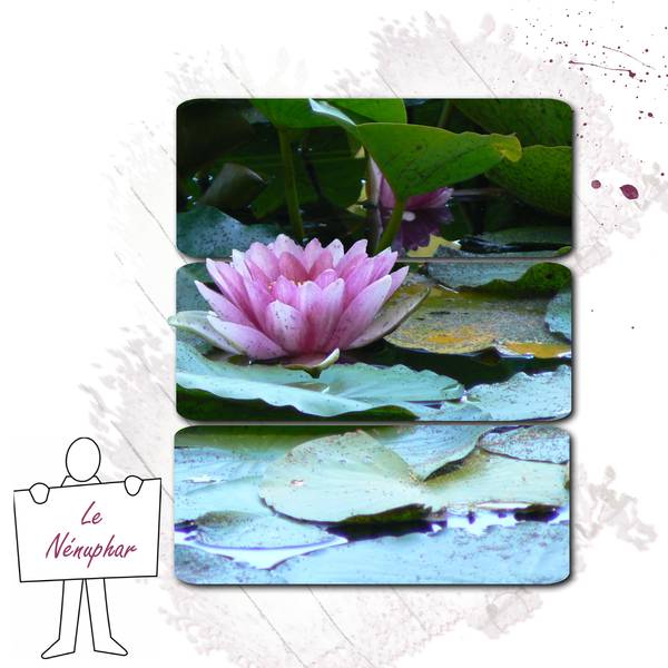 défi  BOUVIER  semaine 31