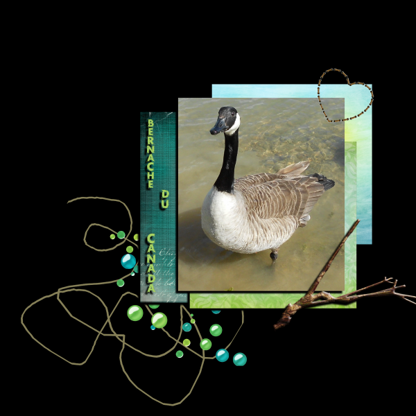 défi C&amp;S de Mamyrose