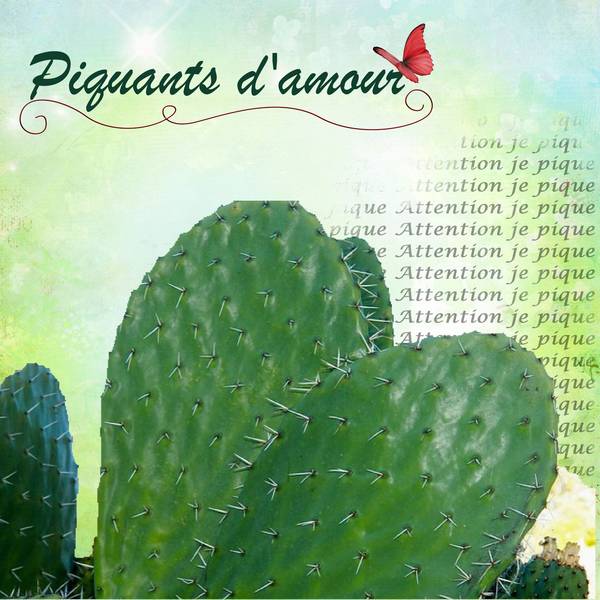 defi cactus Laurette