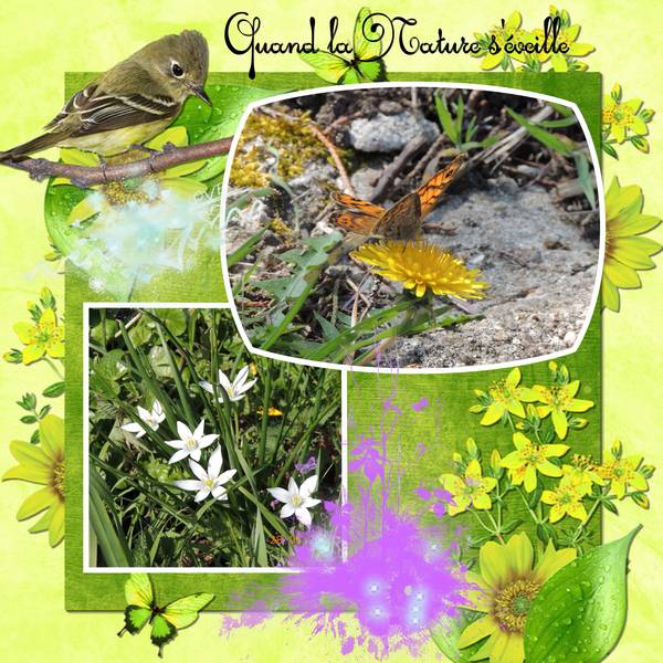 défi cadre laurette