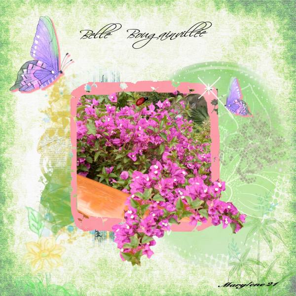 DÉFI CADRE MAMYROSE