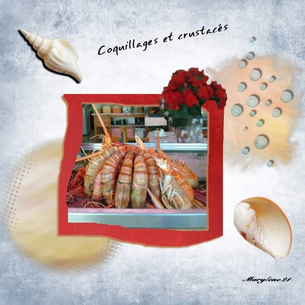 DÉFI CADRE MAMYROSE