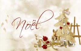 Défi carte de Noel