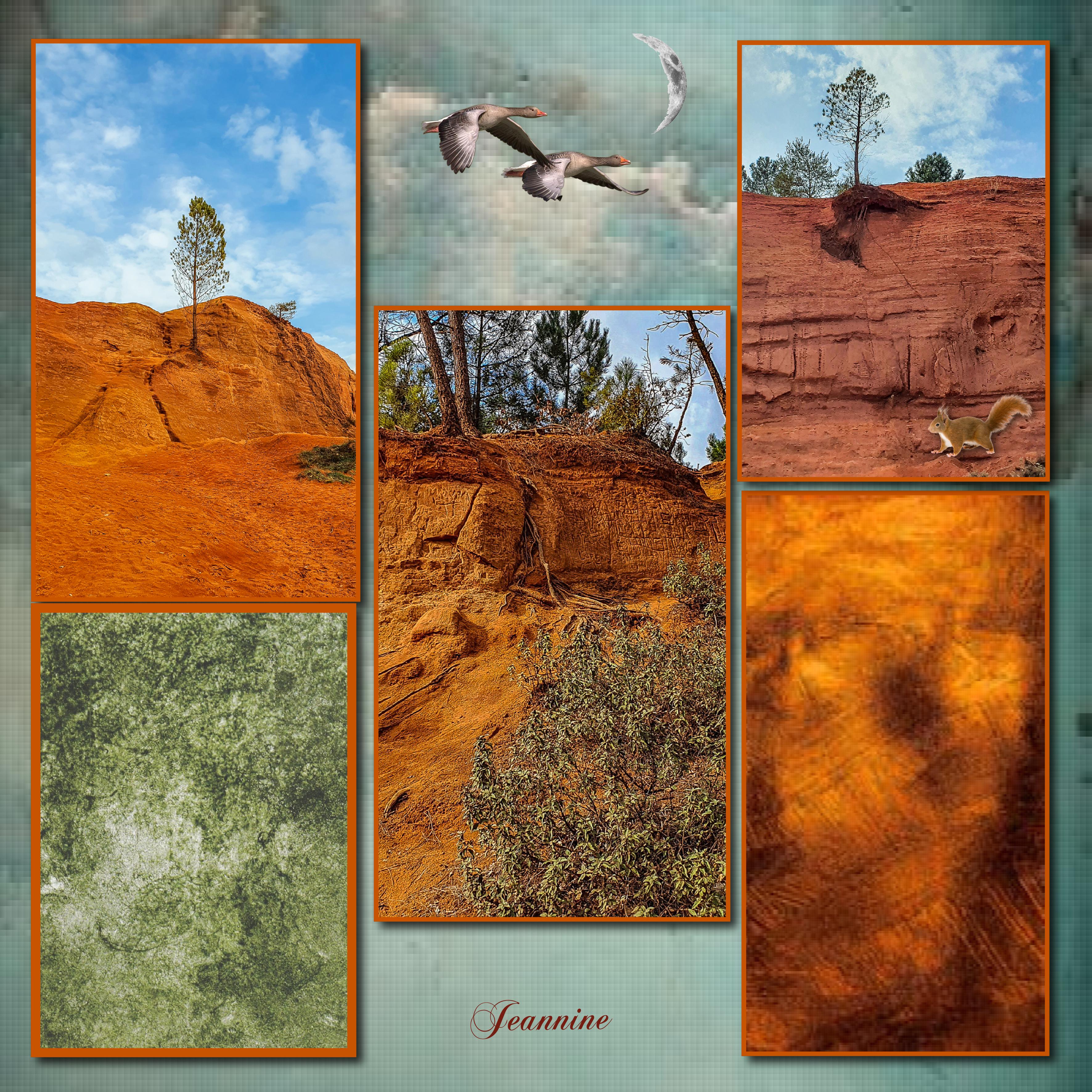 défi CDIP  Jeannine.jpg