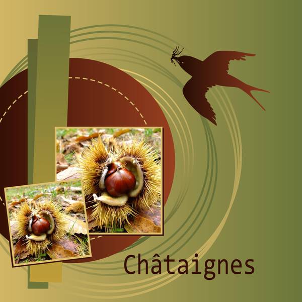 DEFI CDIP-MON AUTOMNE EN UN MOT -- CHATAIGNES