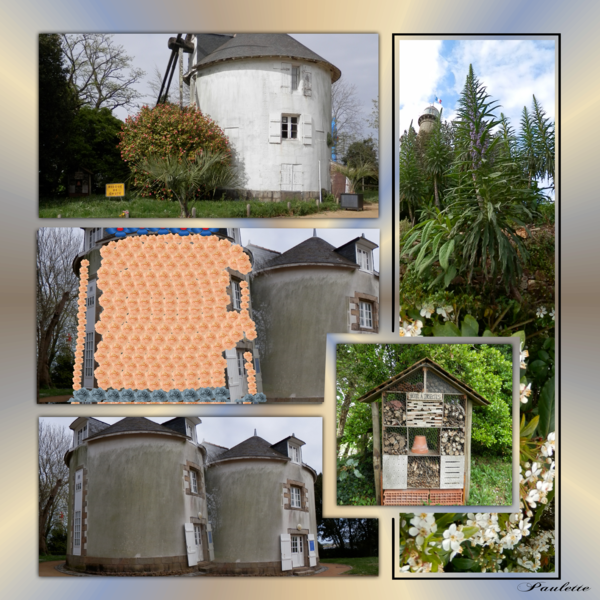 defi cécilia chaîne