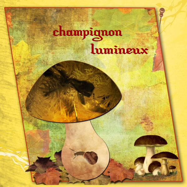 défi champignon