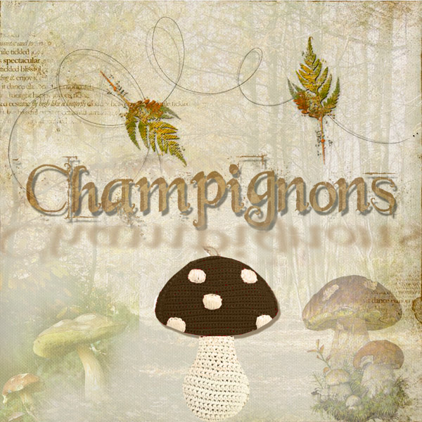 Défi champignon