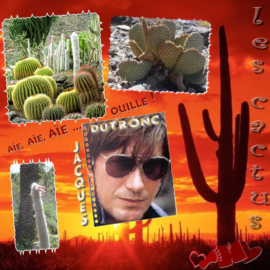 Défi chanson française