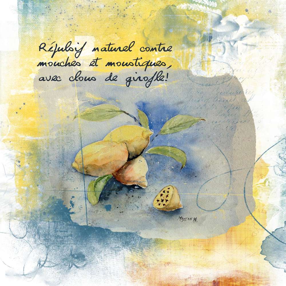 défi citron Martinas