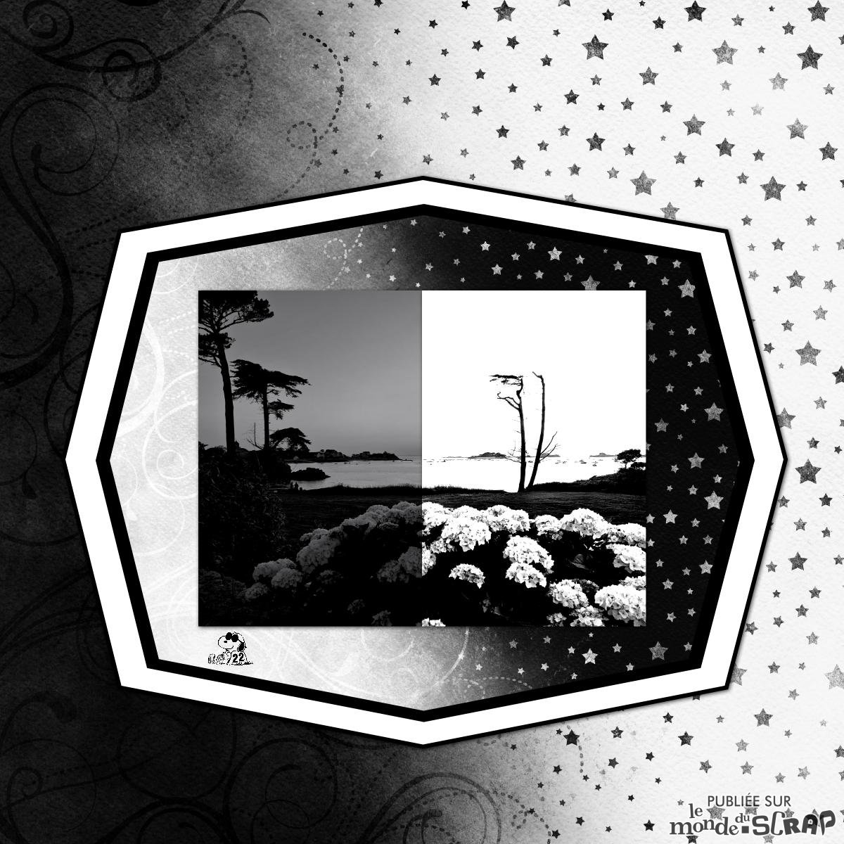 Défi contraste Marie Rose