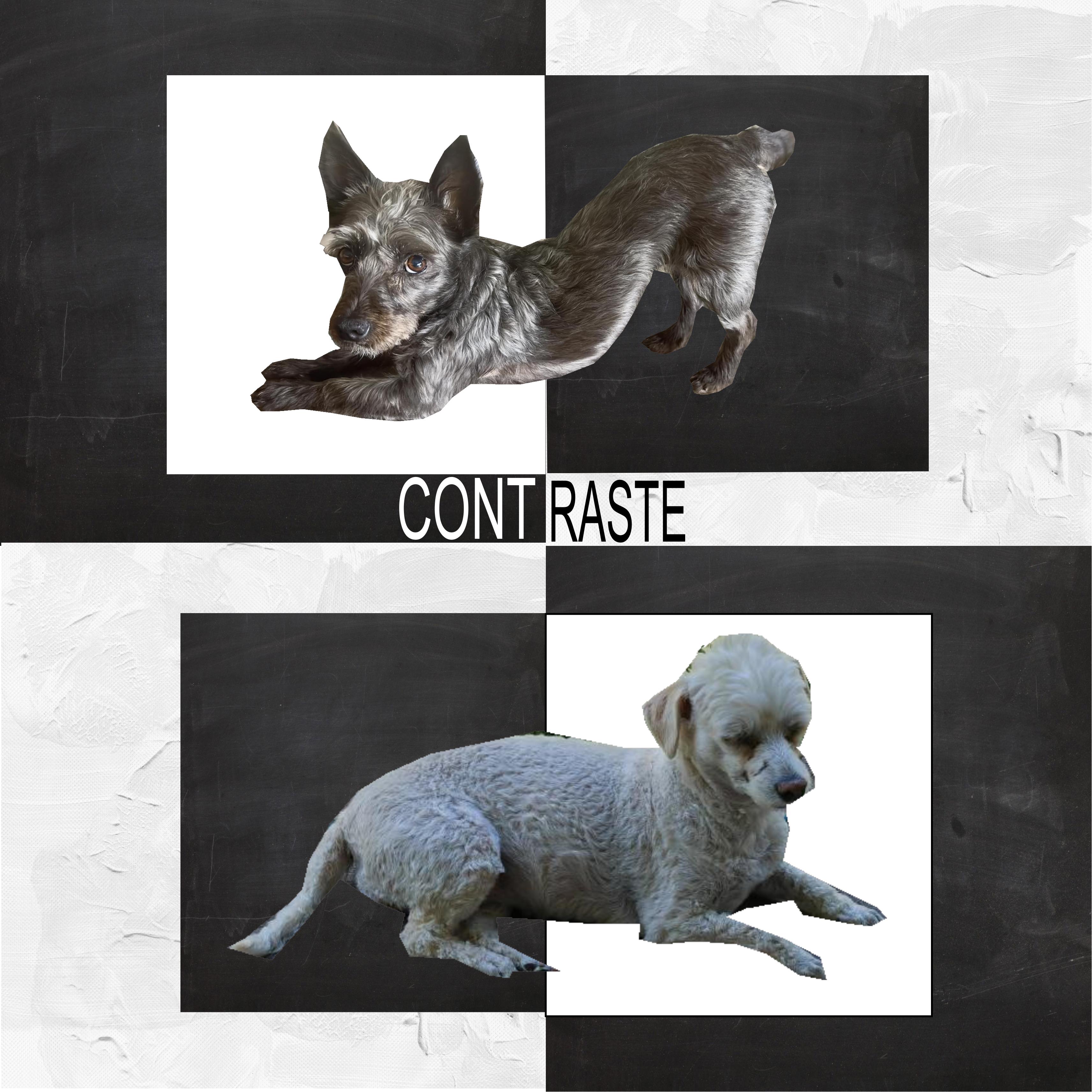 Défi Contraste (page 4).jpg