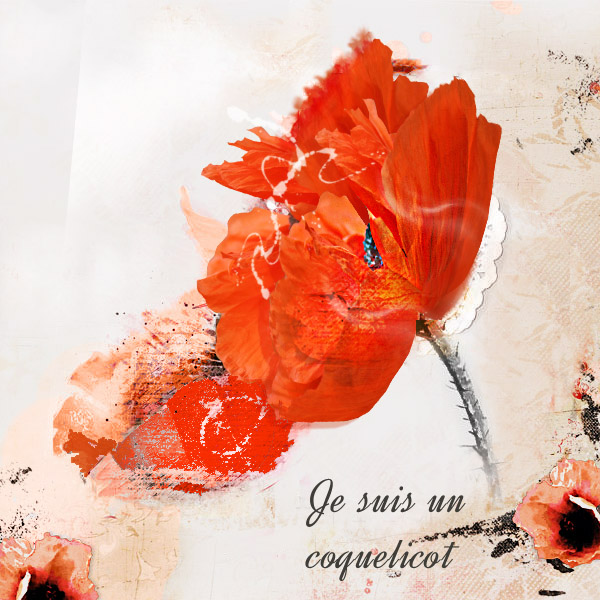 Defi coquelicot Laurette