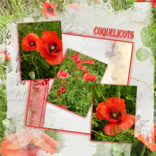 Defi coquelicots Laurette