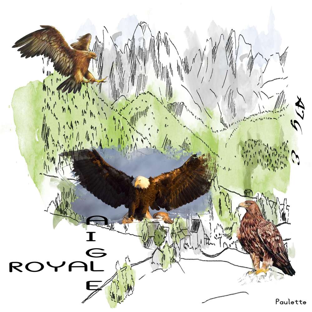 defi coriine rapace 2016