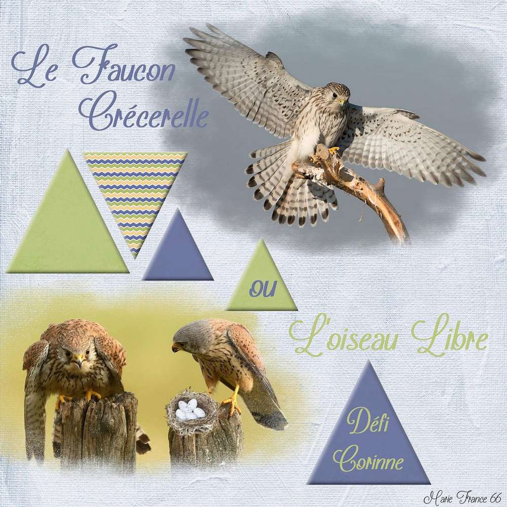 DEFI CORINNE RAPACES