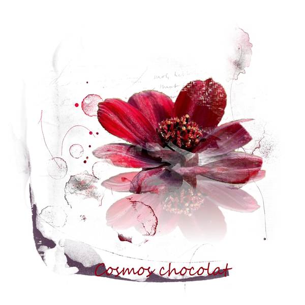 Defi cosmos Gilberte