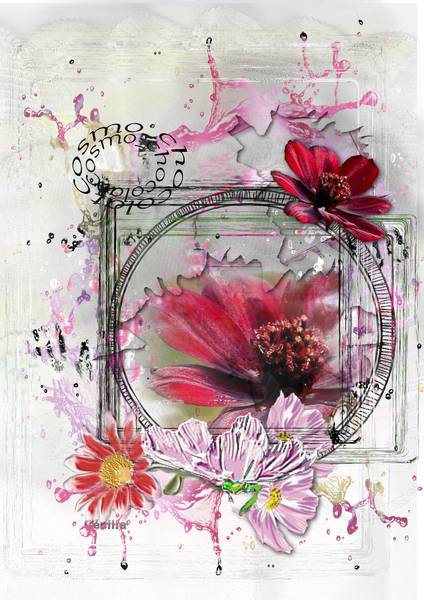 Défi Cosmos Gilberte