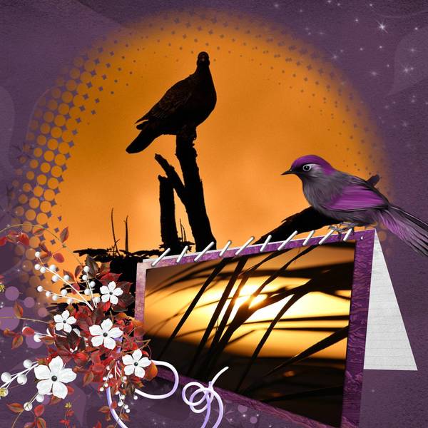 defi coucher de soleil