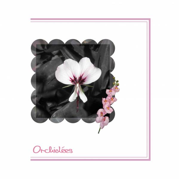 Défi Couleur et noir de Marylène 21