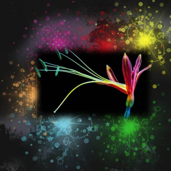 defi couleurs laurette 2