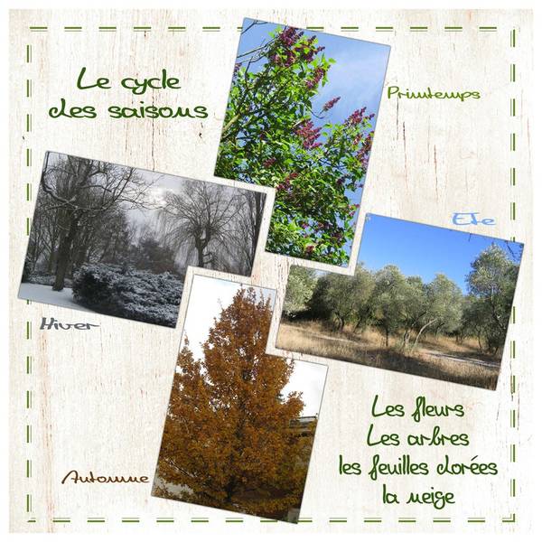 Défi DD, Les 4 saisons