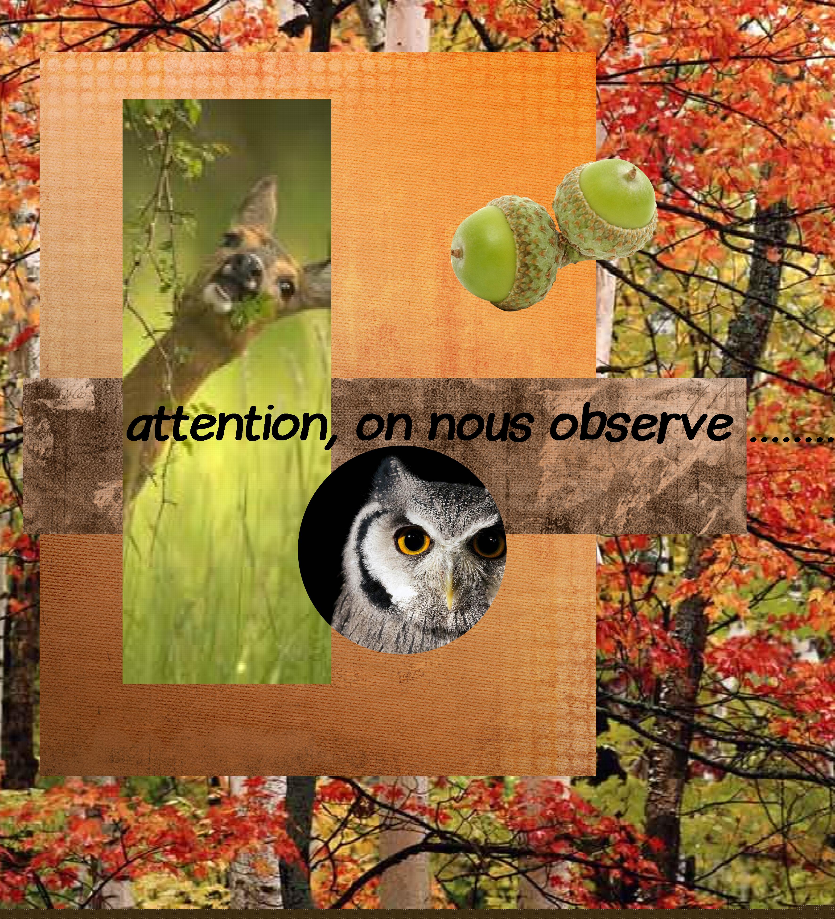 defi de la rentrée studio scrap par Annie.jpg