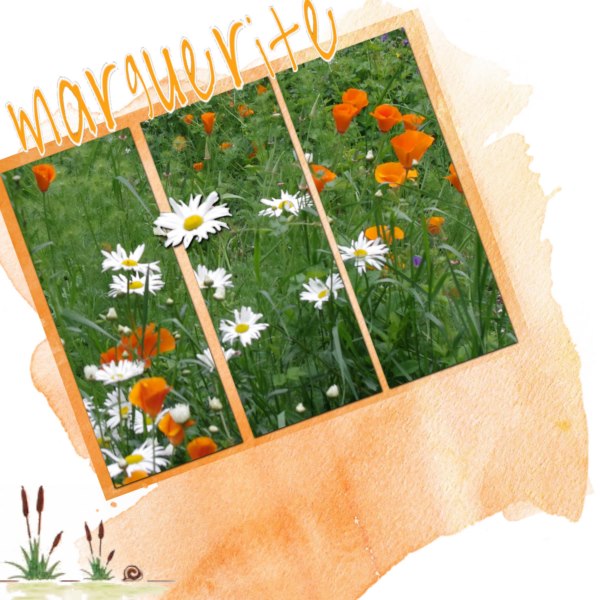 défi de Laurette : Capito (enfin, je crois)