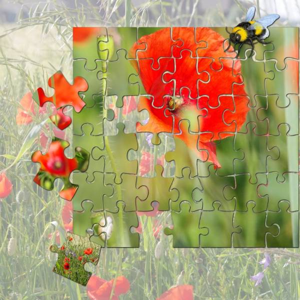 défi de Laurette : le printemps