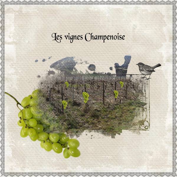 défi de Laurette sem 39