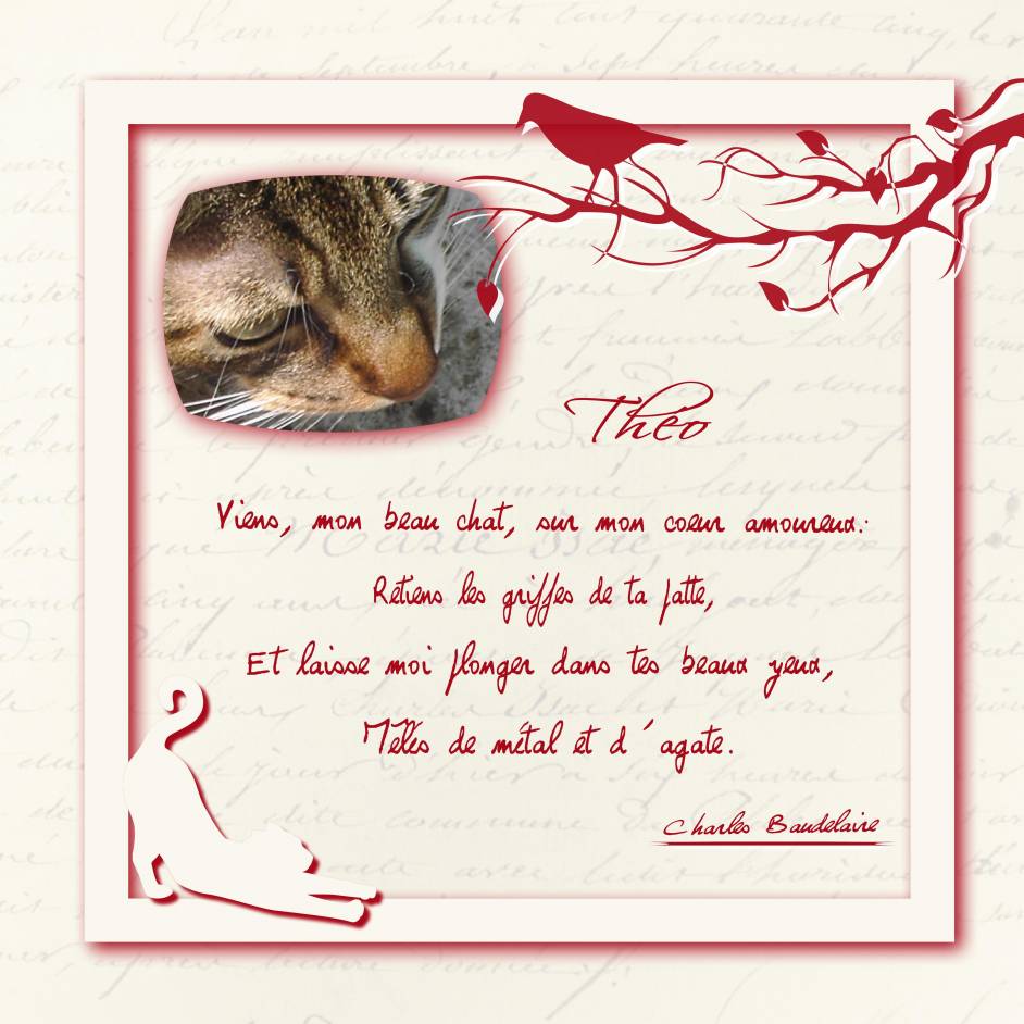 défi de mag en rouge et blanc