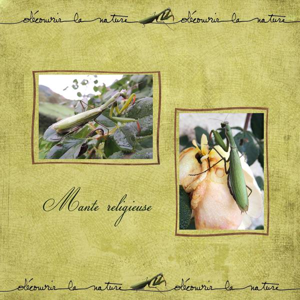 défi découvrir la nature