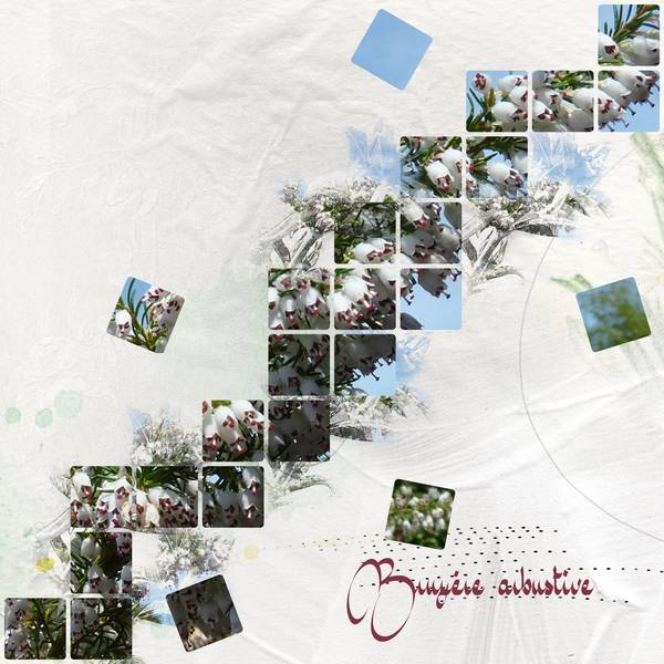 Defi Diagonale de Karine