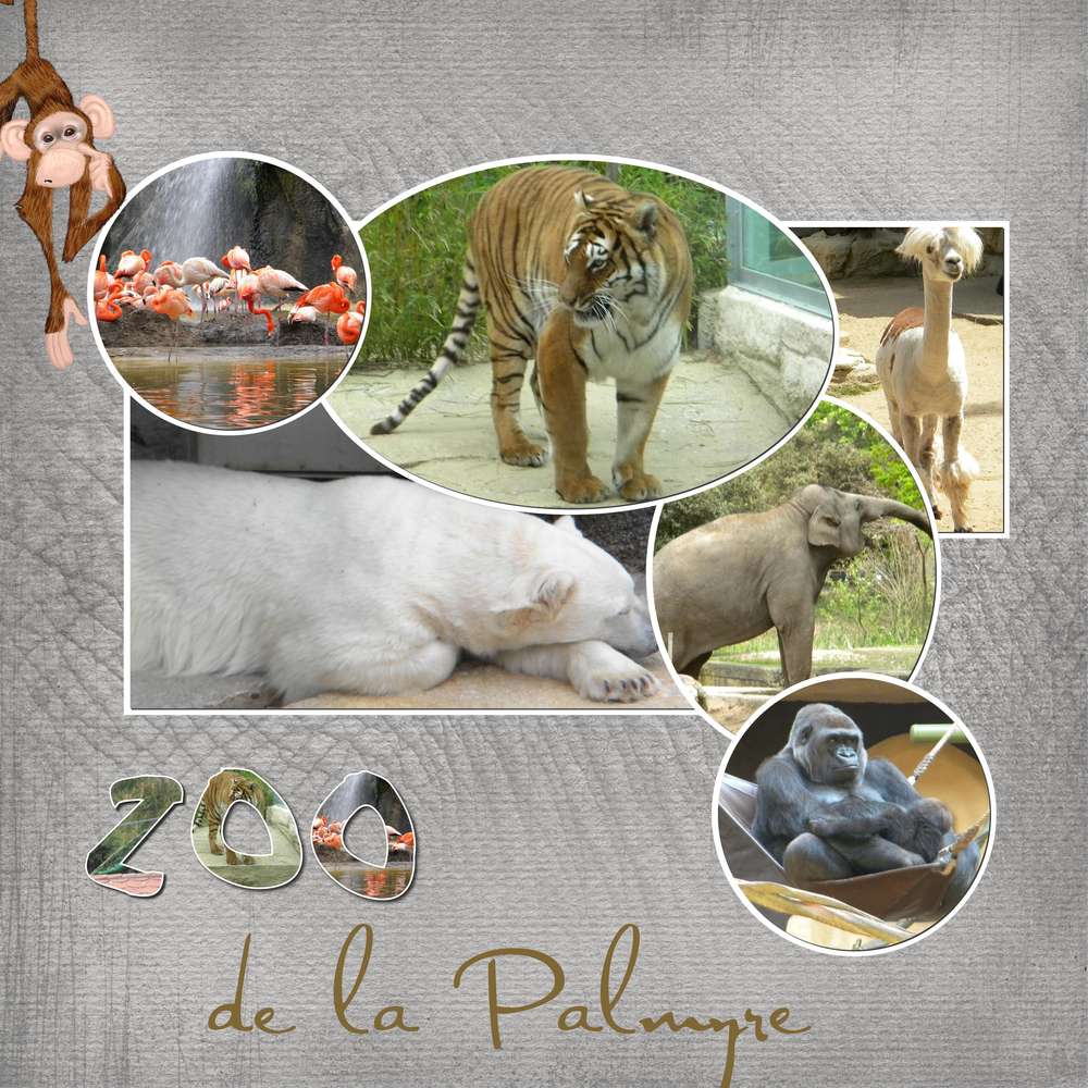 défi dictée de mai