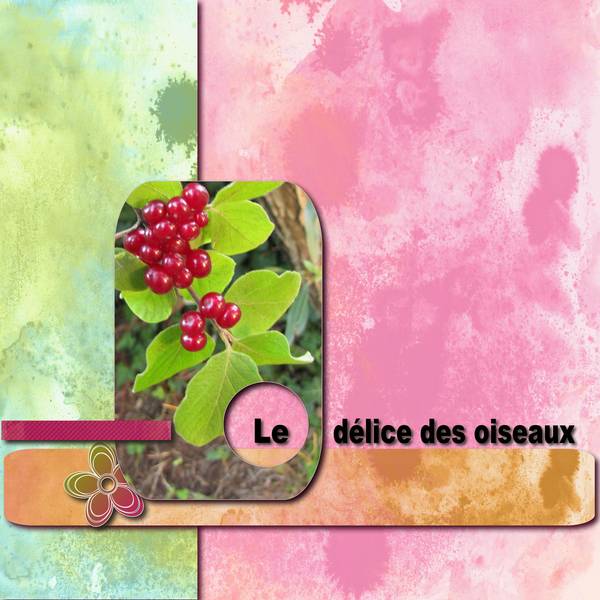 Défi dictée de page Moyson