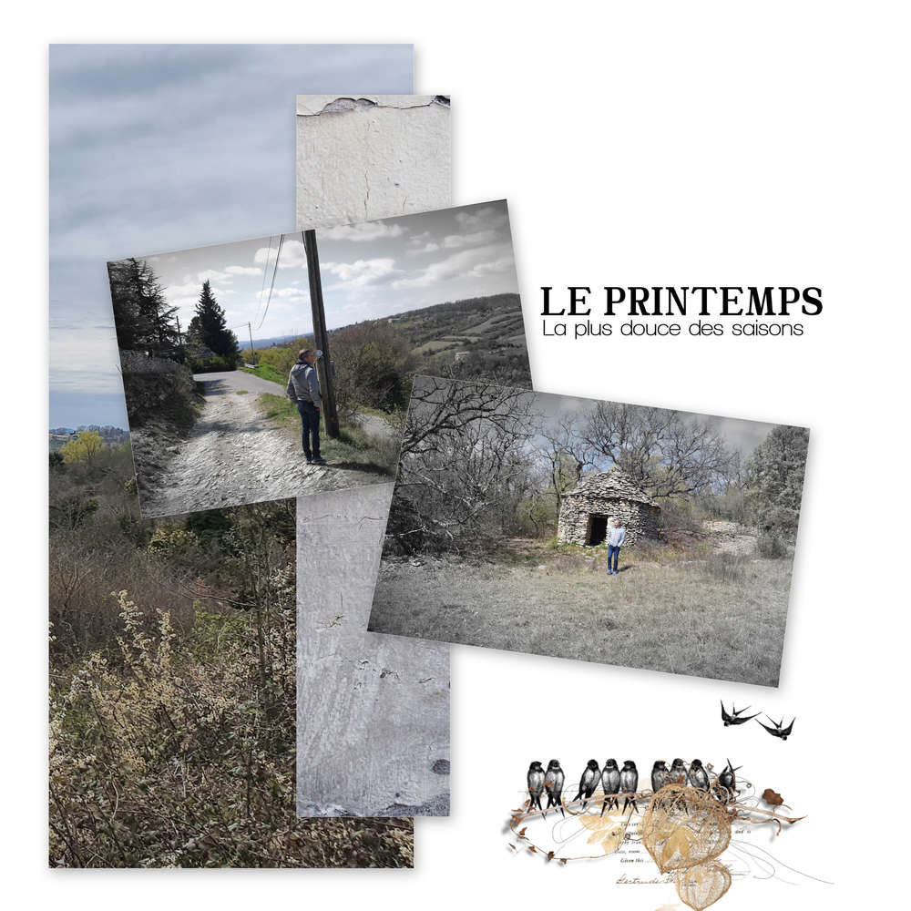 Défi dictée Marie Rose