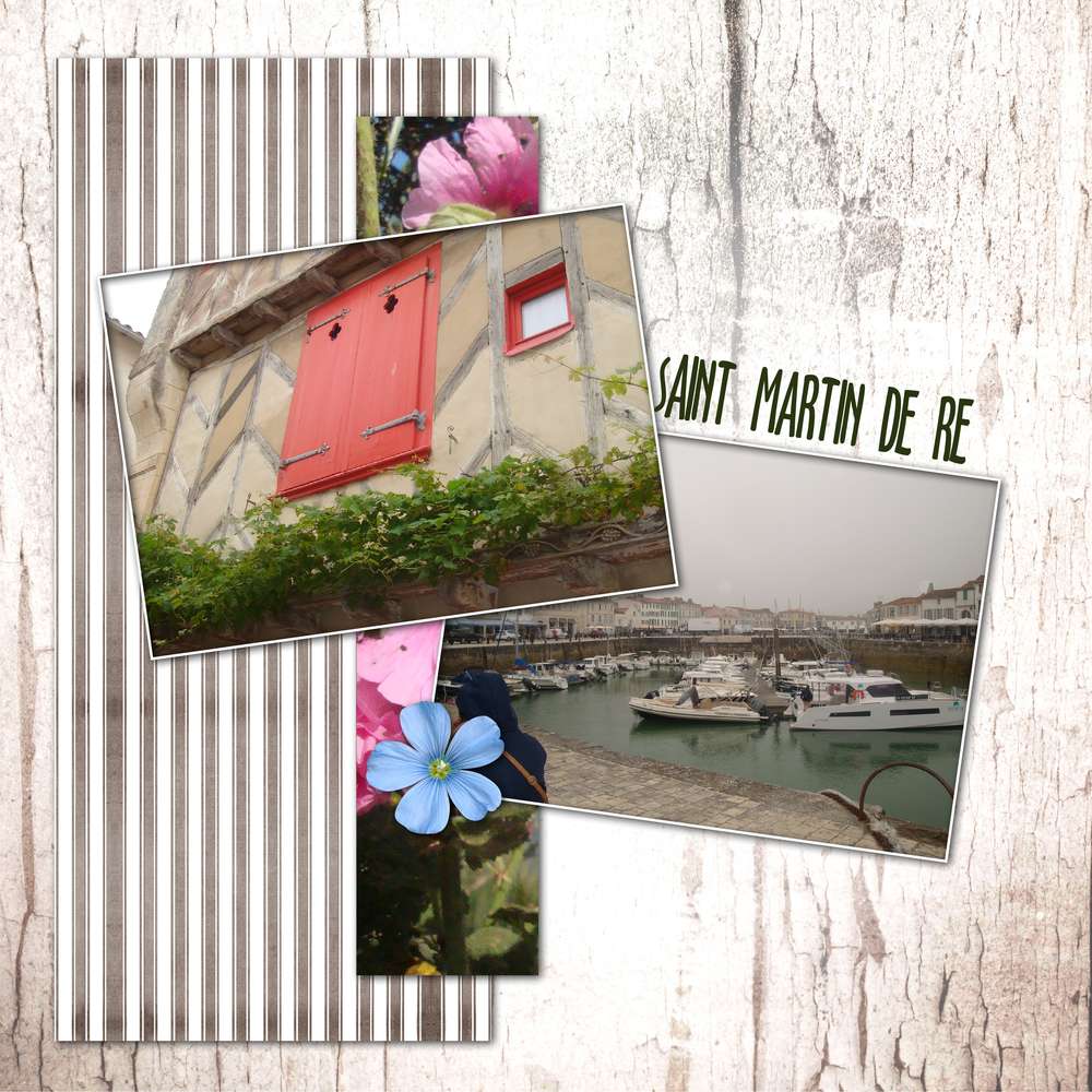 défi dictée Moyson avril 2020