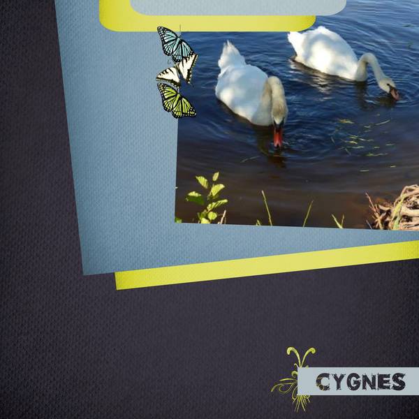 Défi dictée vacances