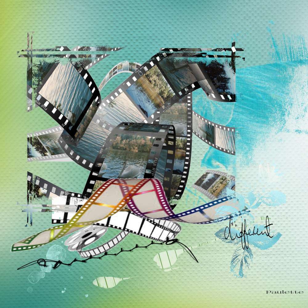 defi dom pellicule 2016