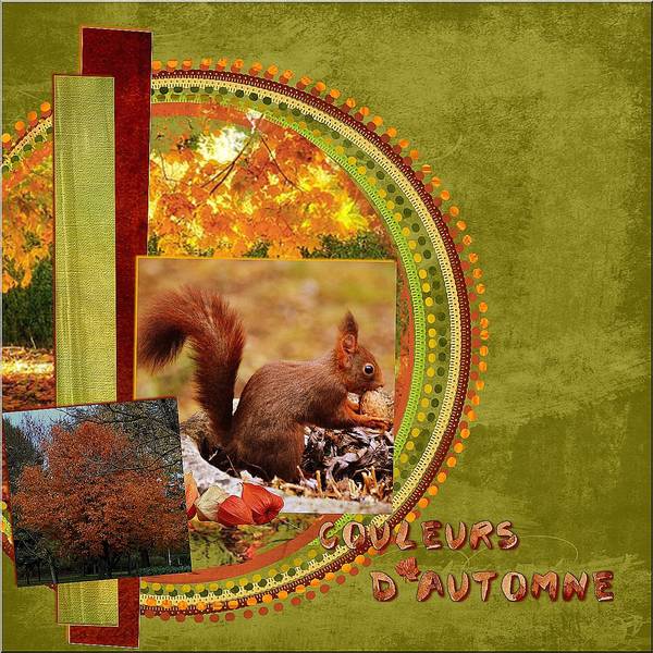 DEFI DU CDIP MON AUTOMNE