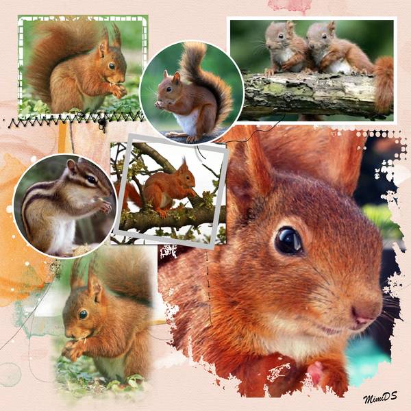 Défi écureuil 2 Karine