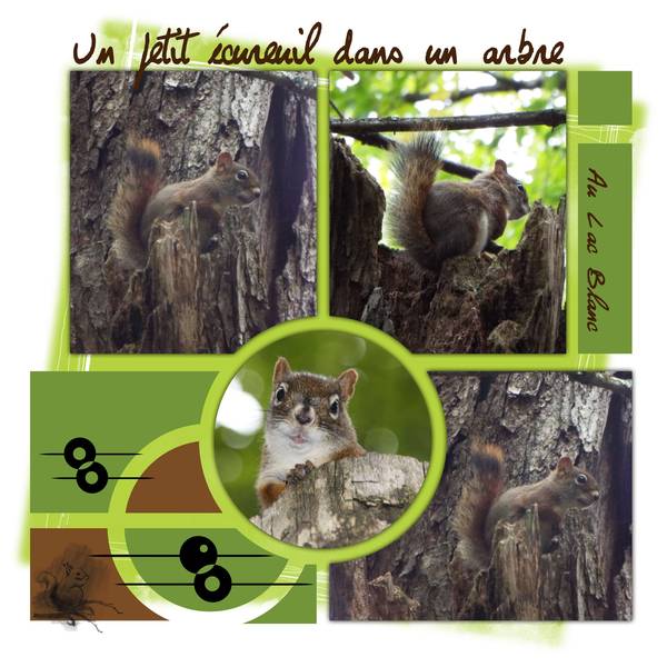 Défi écureuil de Karine