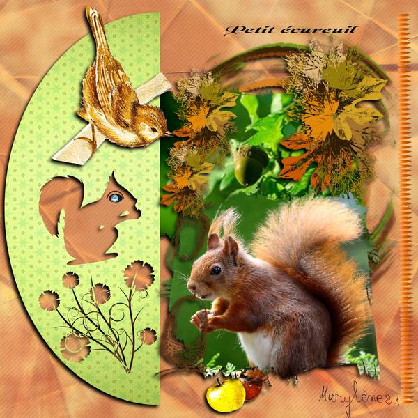 DEFI ECUREUIL KINOULILINE