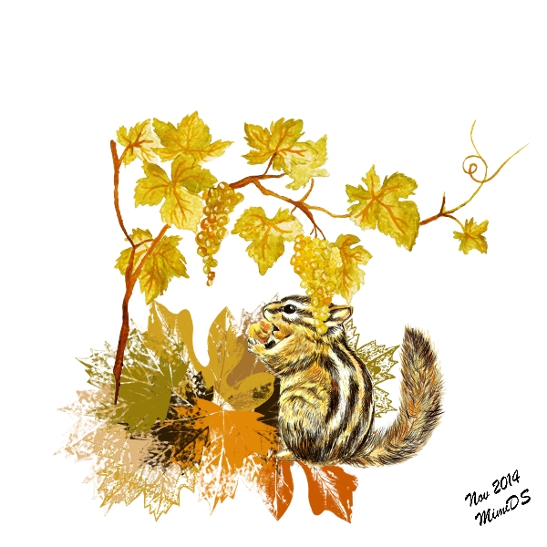 Défi écureuil Kinouliline